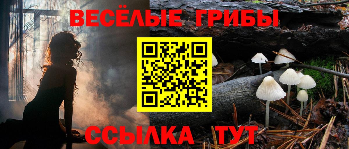 Галлюциногенные грибы GOLDEN TEACHER Выборг