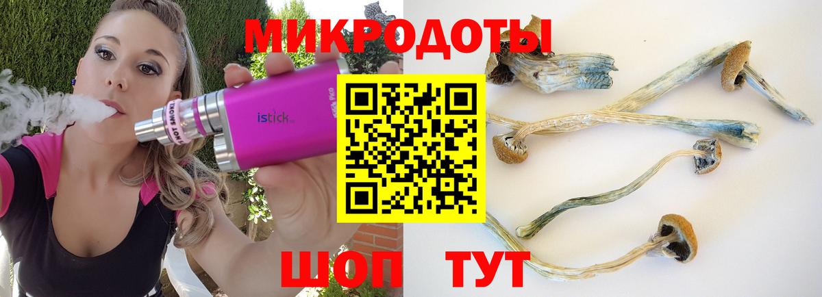 магазин    Вход с VPN  Выборг  Псилоцибиновые грибы Magic Shrooms 